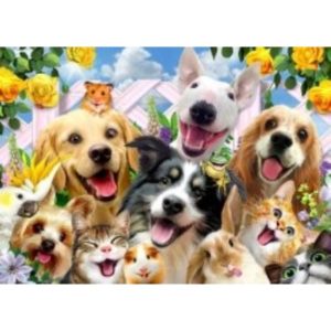 Smart Play Happy Pets 36pc