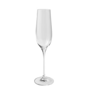 Jenna Clifford Champagne 235ml Set of 4
